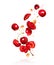 Whole and sliced fresh cherries in the air with reflection, isolated on a white background