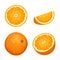 Whole and sliced orange fruits isolated on white. Vector illustration.