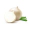 Whole and Sliced White Onion Bulbs with Chopped Onions Isolated