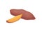 Whole and small slice of sweet potato. Fresh and tasty vegetable. Natural and healthy food. Flat vector icon