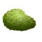 Whole soursop icon cartoon vector. Leaf fruit