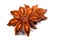 Whole Star Anise