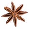 Whole Star Anise isolated