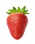 Whole strawberry isolated on white background, illustration