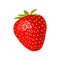 Whole strawberry. Vector color flat illustration