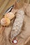 A whole traditional italian salami on a wooden cutting board with some bread