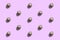 The whole unpeeled garlic head pattern on lilac background