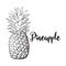 Whole, unpeeled, uncut pineapple, isolated sketch style vector illustration