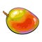 Whole unpeeled, uncut sweet mango tropical fruit in horizontal position