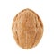 Whole Walnut Isolated