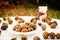 Whole walnuts and lit candle with autumn garden in background