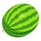 Whole watermelon icon, isometric style
