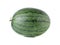 Whole watermelon with stem on white