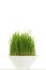 Whole wheatgrass