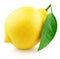 Whole yellow lemon citrus fruit with leaf on white