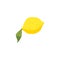 Whole yellow lemon with leaf, flat vector illustration. Citrus sour fruit lying on the surface. Citron icon for lemonade