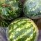 Whole young green fruit watermelon