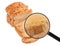 Wholegrain loaf of sliced â€‹â€‹bread and agricultural wheat field shown in a magnifying glass.