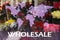 Wholesale business. World map and assortment of flowers on background