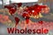 Wholesale business. World map and assortment of fruits on background