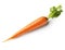 Wholesome Beauty: Isolated Carrot on White Background