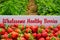 Wholesome healthy strawberries picked fresh at a farm