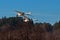 The whooper swan, Cygnus cygnus