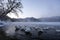 Whooper swans through mist, lake kussharoko japan