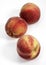 Whyte Peach, persica vulgaris, Fruits against White Background