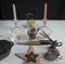 Wiccan altar for Yule