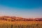 Wichita Mountains Wildife Refuge