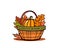 Wicked basket Illustrated vector element