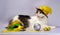 Wicked cat in a yellow carnival hat with sequins and a feather n