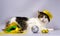 Wicked cat in a yellow carnival hat with sequins and a feather n