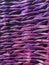 Wicker bamboo knitted background texture