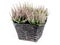 Wicker basket with bunch of heather flowers