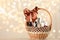 Wicker basket with cosmetics as present against blurred festive lights. Space for text