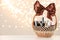 Wicker basket with cosmetics as present against blurred festive lights. Space for text