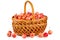 Wicker basket with crab apples