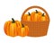 wicker basket filled pumpkin harvesting