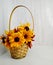 Wicker basket with flowers of golden bicolor rudbeckia on a light background