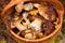 Wicker Basket With Forest Edible Mushrooms