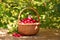 Wicker basket with fresh raspberries on wooden table outdoors