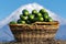 Wicker basket with freshly picked organic cucumbers on background of volcano cone and blue sky