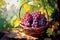 A wicker basket full of ripe delicious grapes. Still life in impressionism style