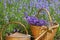 Wicker basket with lavender and a copper Watering Can