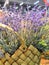 Wicker basket with lavender flowers closeup over rough round of lavender field. lavender in a wicker basket