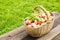 Wicker basket with many apples on old wooden panels with green grass