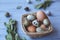 Wicker basket with quail and compartment eggs on a gray wooden background