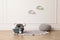 Wicker basket, toys and pouf near white wall indoors. Interior design